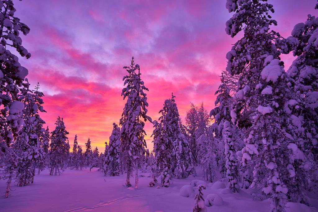 Lapland Guesthouse Kangos Exteriér fotografie